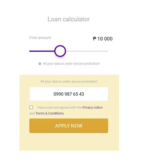 Step 4: Choose Loan Details and Await Approval